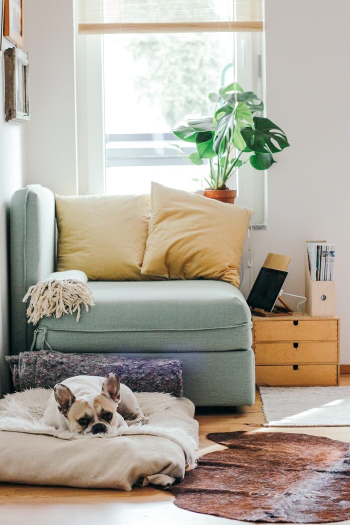 Short Term Vacation Rental vs Hotels