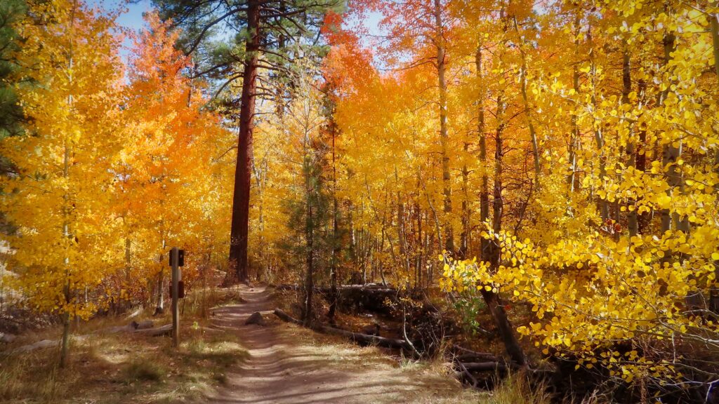 Beautiful Rural Reno Scenes Reno Named One of the Happiest Cities in the America - Stay Reno Tahoe